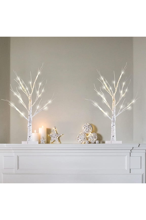2FT/24” Birch Tree Light with 24LT Warm White LEDs Battery Powered Timer for Christmas Decorations Indoor, Money Trees for Xmas Winter Wedding Desk Table Mantel Home Decor