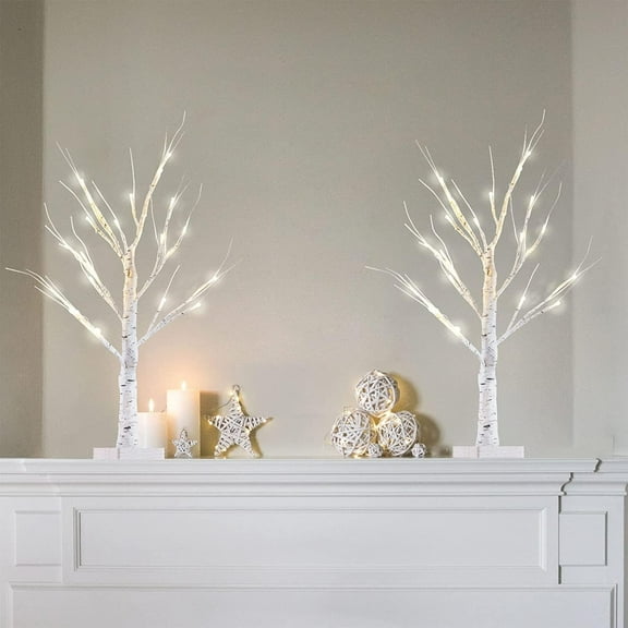 2FT/24” Birch Tree Light with 24LT Warm White LEDs Battery Powered Timer for Christmas Decorations Indoor, Money Trees for Xmas Winter Wedding Desk Table Mantel Home Decor