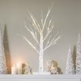 thumbnail image 1 of 2FT/24” Birch Tree Light with 24LT Warm White LEDs Battery Powered Timer for Christmas Decorations Indoor, Money Trees for Xmas Winter Wedding Desk Table Mantel Home Decor, 1 of 8