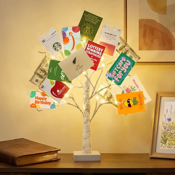 2FT Lighted Birch Twig Money Tree Gift Holder, 24 LED Tree with 12 Clear Clips & 6 Cards, USB Battery Operated Timer for Christmas Graduation Photo Memo Display