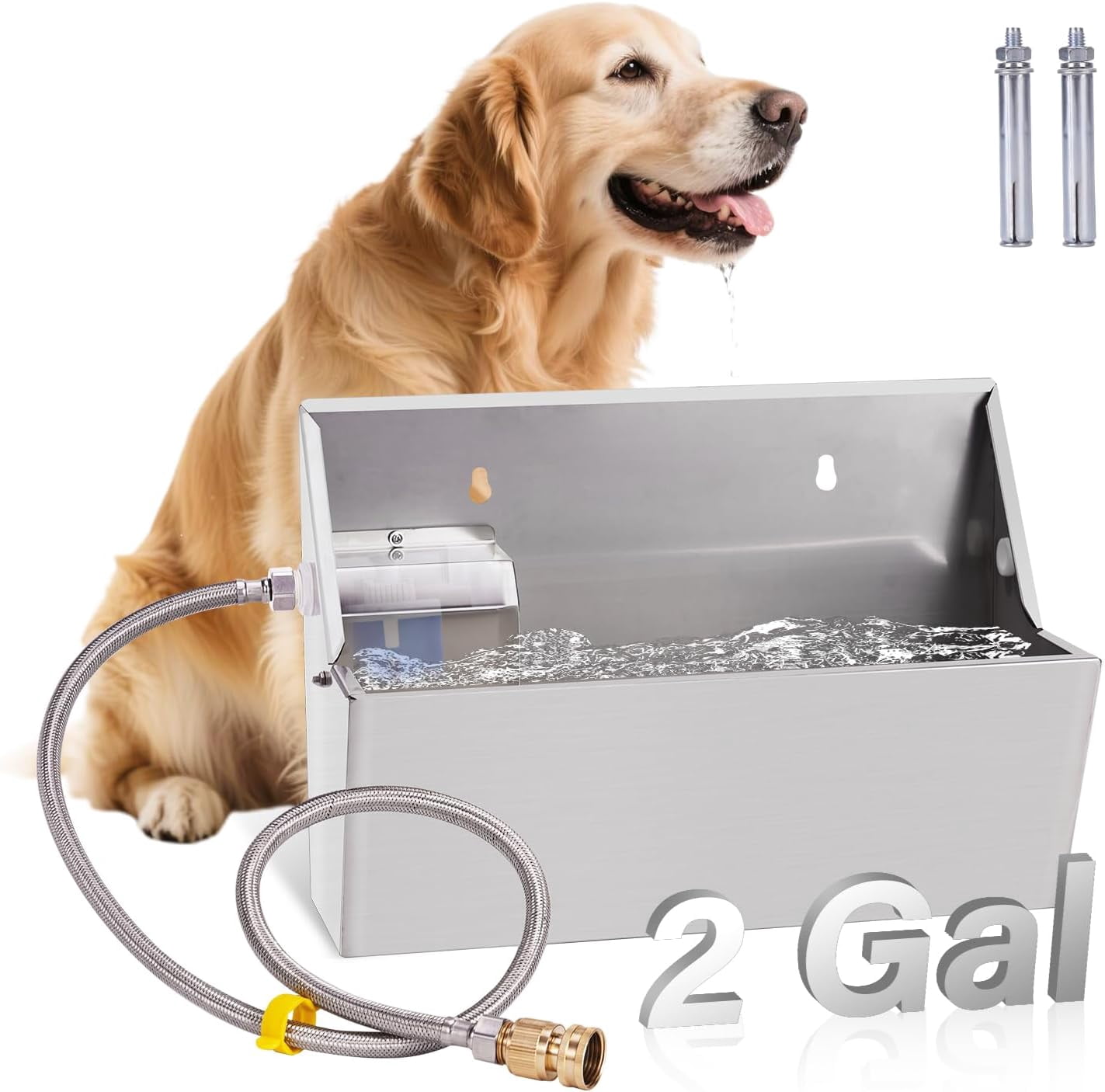 Auto Fill Water Bowl
