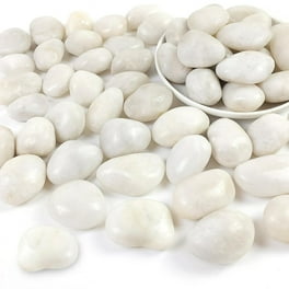 Smooth Pebbles for Aquarium: Enhance Beauty & Boost Fish Health
