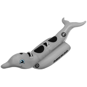 2P Towable Dolphin Float