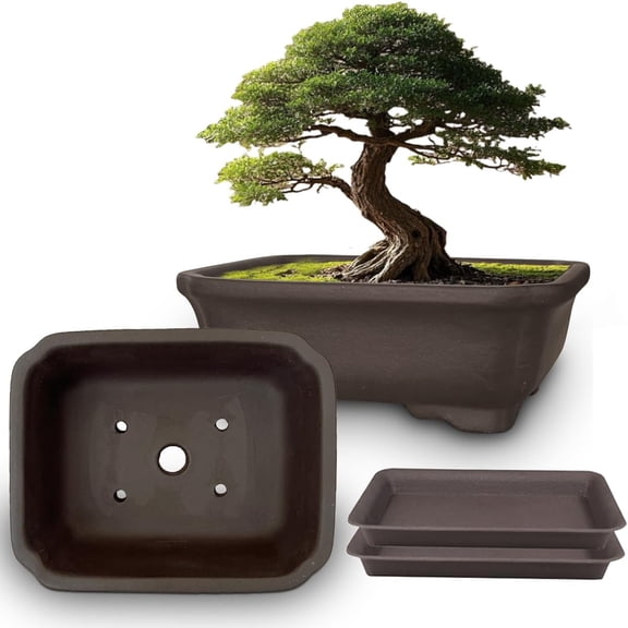 2PACK Unglazed 6 Ceramic Bonsai Pot with Humidity Trays, Breathable Handmade Rectangle Bonsai Starter Planter for Bonsai Tree, Juniper,Ficus, Money Tree