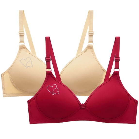 2PC Bras for Women Seamless Wire Free Underwear Smooth Cups Full Coverage Lightly Lined Padding Comfort T-Shirt Bra