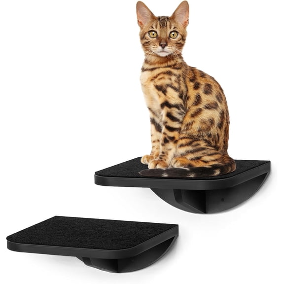 Peluomoz 2PC Wooden Wall-Mounted Cat Stairs – Scratching Mat Climbing Steps & Perch Platform