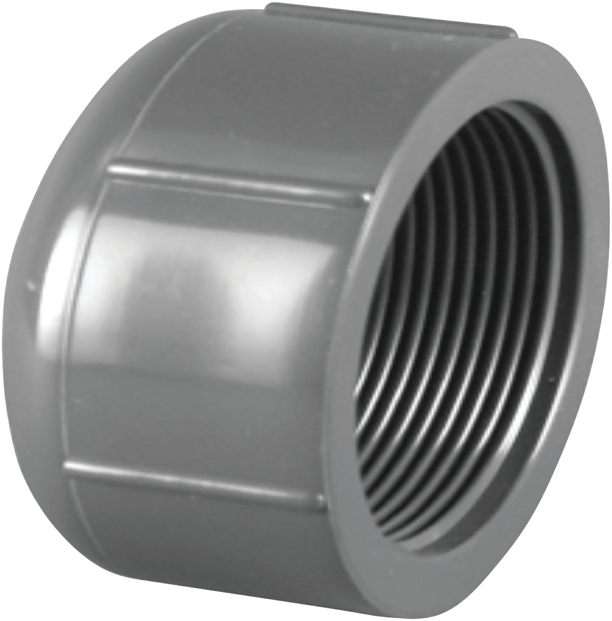 2PC Charlotte Pipe Schedule 80 Threaded PVC Cap 1/2" FIP