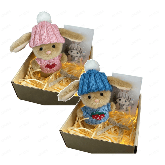 2PC Easter Bunny Stuffed Animal, Mini Bunny Hugs Plush Toy with Knit Hat and Inspiring Message, Mini Bunny Hugs in Box,Cute Easter Gift for Kids(C+D)