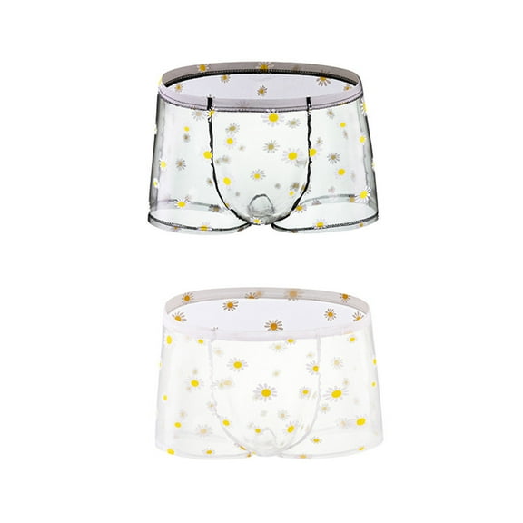 2PC Men's Ice Silk Boxer Briefs Sexy Transparent Mesh Daisy Print Breathable Moisture-Wicking Bulge Enhancing Lingerie for Men