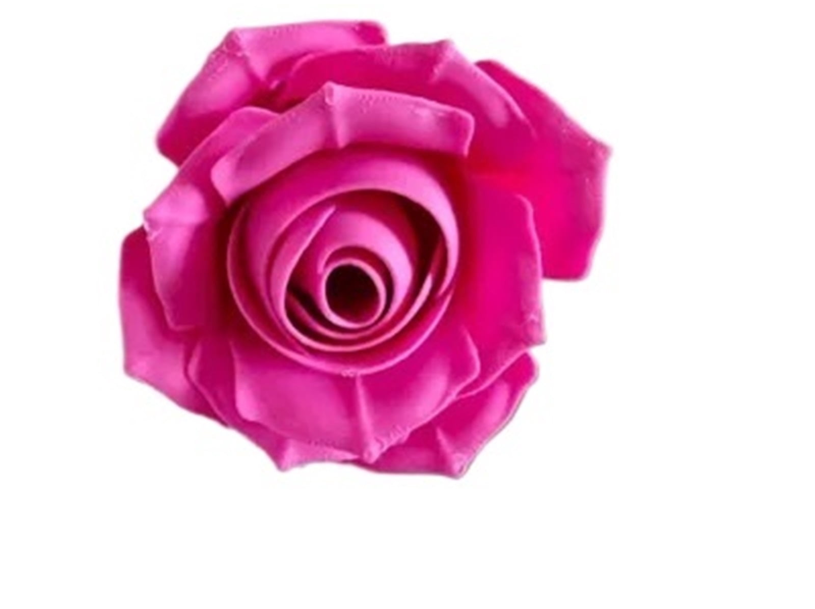 Color Rosa Magneto 2PC Rose Refrigerator Magnet - Magnet size can be modified by 3D ...