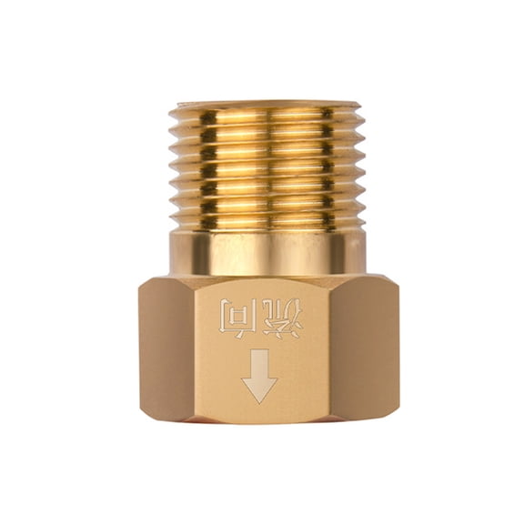 2PCS 0.5 Inch Brass Backflow Preventer Valves Strong Erosion Resistant Pipe Fitting Easy to Use for Water Systems