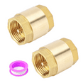 2PCS 1 Inch NPT Female Thread Spring Check Valve, Solid Brass Non