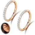 thumbnail image 1 of 2PCS 16G 18GNose Ring Cartilage Hoop Earring Stainless Steel 4Colors Choose Hoop Earrings Hinged Segment Rings Septum Hoops Daith Conch Helix Tragus Piercing 6mm/8mm/10mm/12mm, 1 of 7