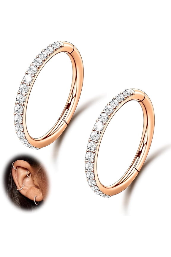 2PCS 16G 18GNose Ring Cartilage Hoop Earring Stainless Steel 4Colors Choose Hoop Earrings Hinged Segment Rings Septum Hoops Daith Conch Helix Tragus Piercing 6mm/8mm/10mm/12mm