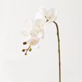 thumbnail image 1 of 2PCS 27.2" Tall Cream Silk Orchid Stems Artificial Flower Stem Real Touch Flower For Wedding Decorations, 1 of 8
