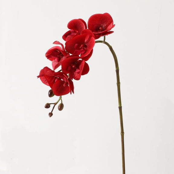 2PCS 27.2" Tall Cream Silk Orchid Stems Artificial Flower Stem Real Touch Flower For Wedding Decorations