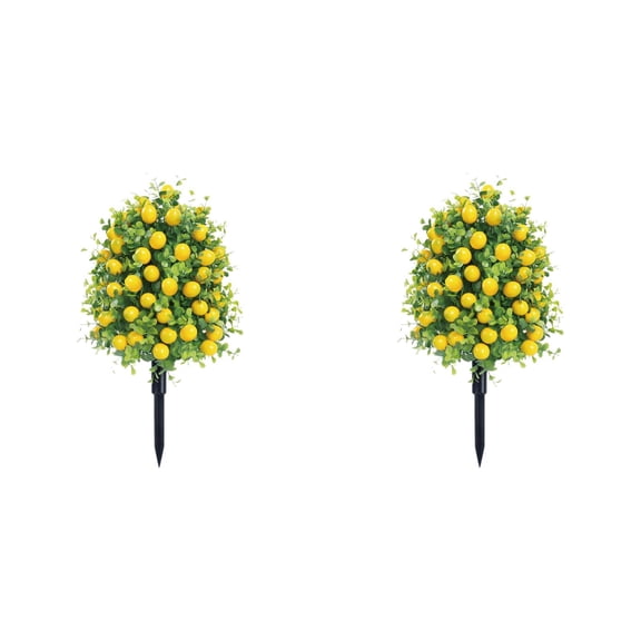 Lemon Images Lemon Topiary Plants for Home Decor
