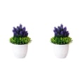 thumbnail image 1 of 2PCS Artificial Potted Small Greenery,Realistic Mini with Flowers for Indoor Home Decor,Desktop Table Centerpiece for Bathroom,Farmhouse Displays,Mother's Day,Christmas Gifts, 1 of 6