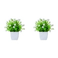thumbnail image 1 of 2PCS Artificial Potted Small Greenery,Realistic Mini with Flowers for Indoor Home Decor,Desktop Table Centerpiece for Bathroom,Farmhouse Displays,Mother's Day,Christmas Gifts, 1 of 6