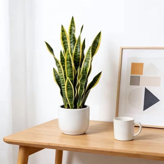 2PCS Artificial Snake Plant, 22 Inch Faux Sansevieria Plant in Pot, UV Resistant Fake Snake Plant for Home, Office, Garden Decor