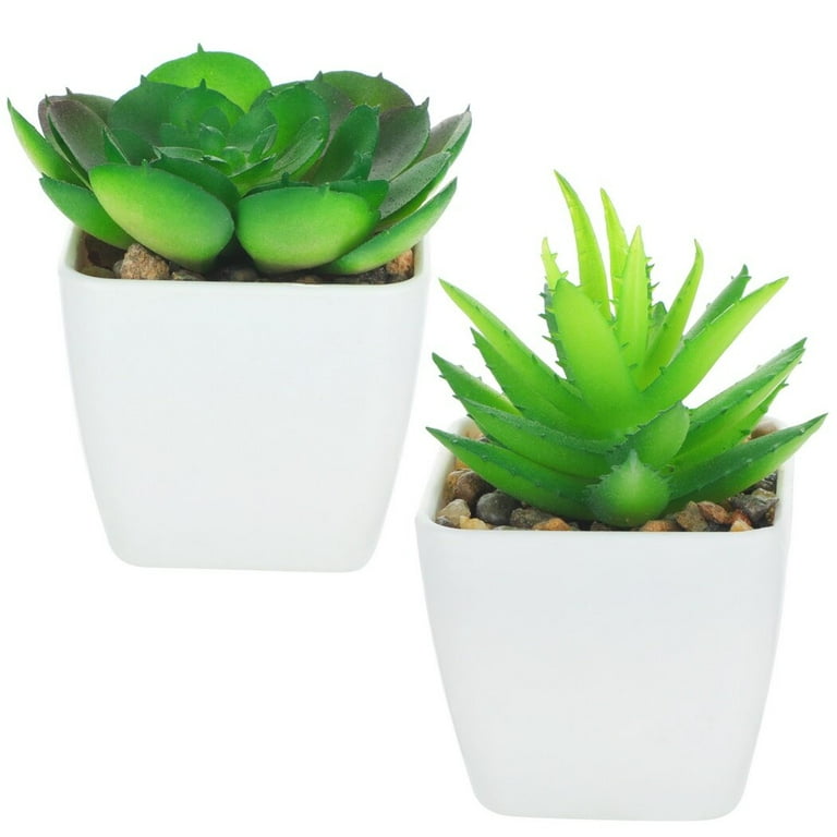 Green Artificial Succulent Plant Fake Garden Flowers Plastic Foliage Home Decor Green Artificial Succulent Plant Fake Garden Flowers Plastic Foliage Home Decor