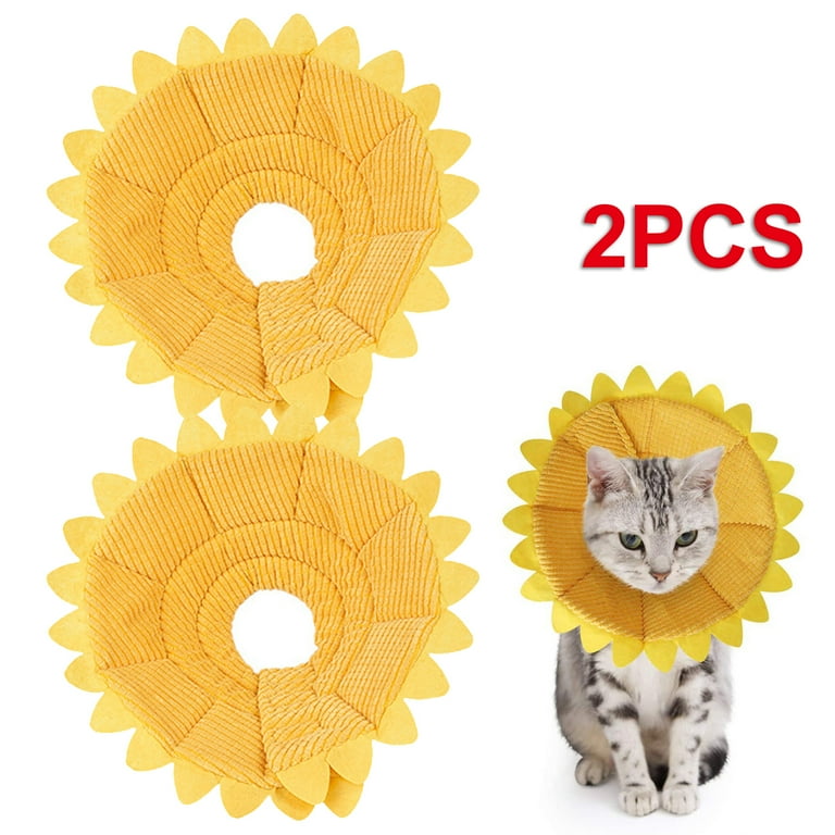 Best cat recovery collar 2025
