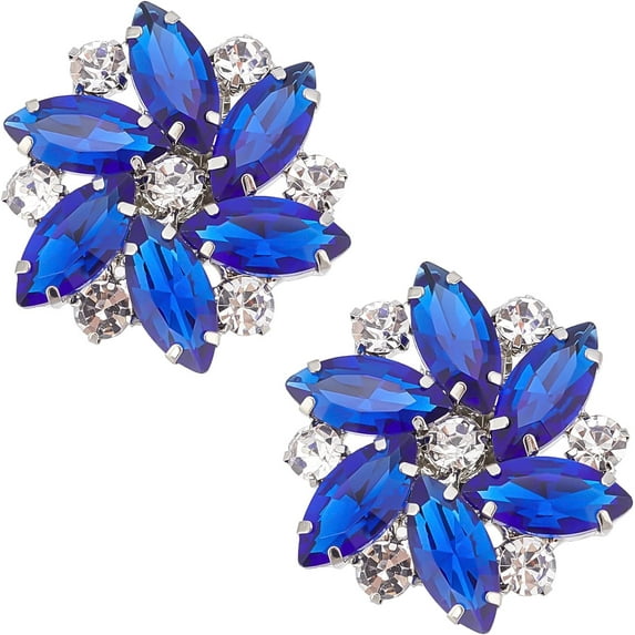 2PCS Crystal Shoe Clips 1.3x1.2 inch Light Blue Rhinestones Shoe Buckles Charms Exquisite Flower Shape Shoes Decoration for Women Bridal Pumps Flats Clutch Dress Hat Shoe