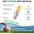 thumbnail image 1 of 2PCS E17 Led Bulb 2W 120V (25W Equivalent), Microwave Oven Light Bulbs, Non-Dimmable Warm White, for Microwave Oven, Range Hood, Refrigerator, Appliance Bulb, 1 of 8