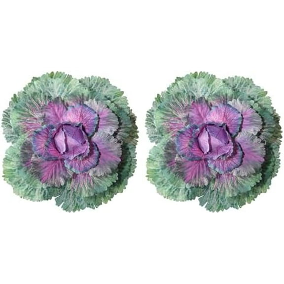 2PCS Faux Cabbage Fall Winter Outdoors, Artificial Vegetables Realistic UV Resistant, Fake Ornamental Plants Props Decorative Display for Home Kitchen Wedding Porch Patio Yard Decor,Green