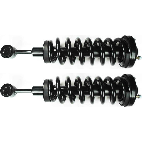2PCS Front Struts Complete Assembly Suspension Strut and Coil Spring Assembly for F-150 4.2L 4WD AWD 2008, for F-150 4.6L 4WD AWD 2008, for F-150 5.4L 4WD AWD 2008