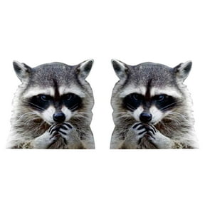 2PCS Funny Cartoon 3D Racoon Pattern Car Side Window Decal, Waterproof Vinyl Auto Body Side Animals Graphics Stickers for Car Window Wall