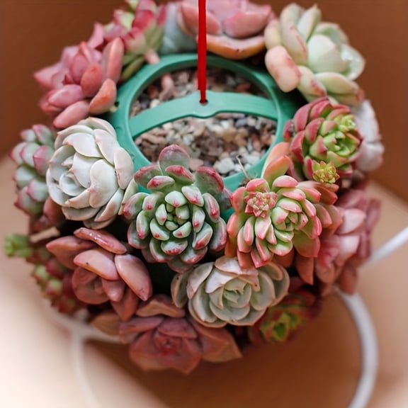 2PCS Hanging Ball Planter Pots, 4.3 Inch Small Multi-Hole Plastic Flower Pots with 19.6 Inch Rope and Hook, Creative Container for Succulents, Cuttings, Sunflowers,