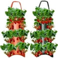 thumbnail image 1 of 2PCS Hanging Tomato Planters Upside Down Topsy Turvy Tomato Planter Tomato Planter Hanging Grow Bags Tomato Growing Kit Breathable Canvas Flower Strawberry Planter Bags HACES03O5FRZOHDS4, 1 of 7