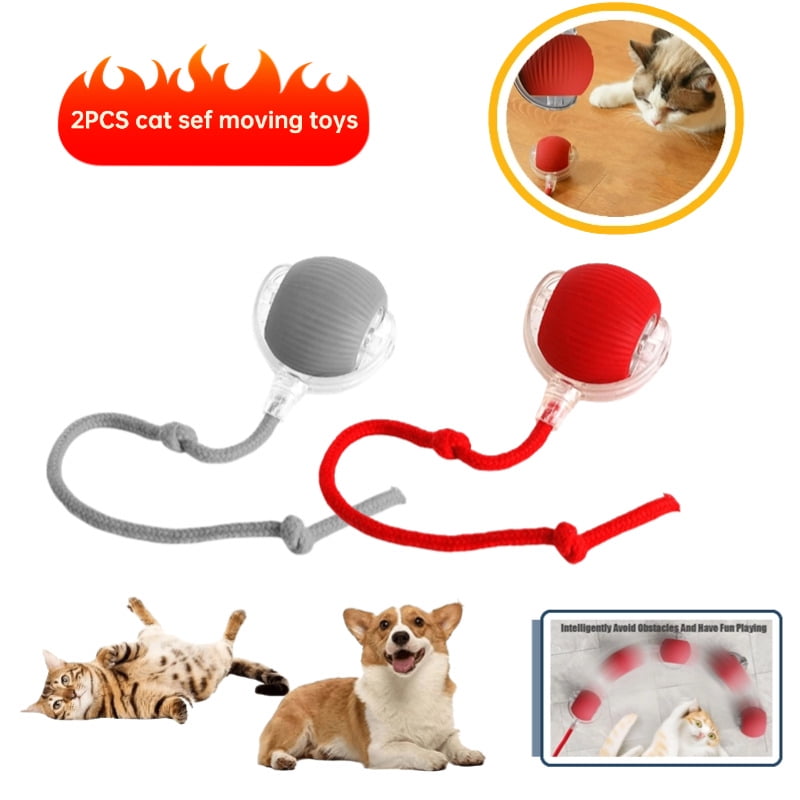 Automatic Interactive Cat Toys For Indoor Cats. 3 In 1 Cat Funny Teaser Usb Rechargeable Smart Rotating Feather Wand Fluttering Butterfly Electronic Whack A Mole