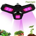 2PCS LED Plants Grow Light for Indoor Lamp Hydroponic Full Spectrum