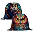 2PCS Owl Drawstring Bags Drawstring Gym Bag