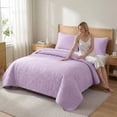 thumbnail image 1 of 2/3PCS Quilted Coverlet Set, Delicate Stitching Stylish Bedding, Cozy Skin-Friendly, Hypoallergenic, Easy Care & Machine Washable, 1 of 3