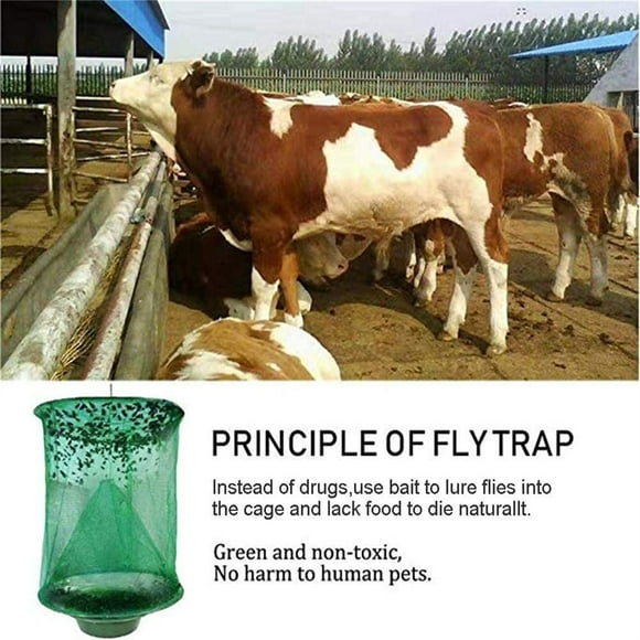 Outdoor Hanging Fly Traps with Natural Pre-Bait, Catches Flies Everywhere Anywhere, Stables, Ranches, Cottages and More, dissolvable Bait Pack, 2 PCS