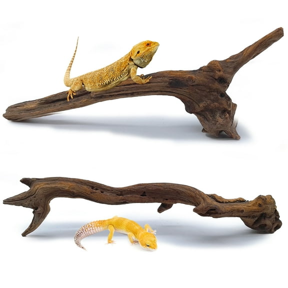 2PCS Snake Climbing Branches,Reptile Natural Coral Driftwood Branches Decor,Lizard Habitat Decoration Accessories, Terrarium Tree Trunk Ornament for Bearded Dragon Gecko Frog Chameleon Spider