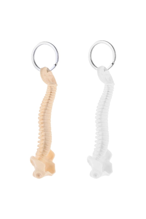 2PCS Spine Keychain Human Mini Ring For Display Teaching Model Classroom Study Tools Biology Present For Doctor