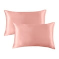 2PCS Standard Size (20 inches) Satin Pillow Covers With Envelope