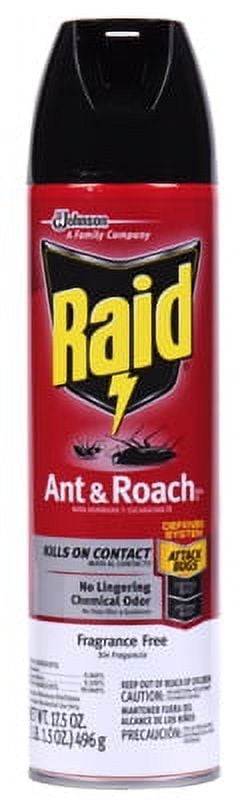 2PK Raid 17.5 OZ Aerosol Ant & Roach Killer Unscented