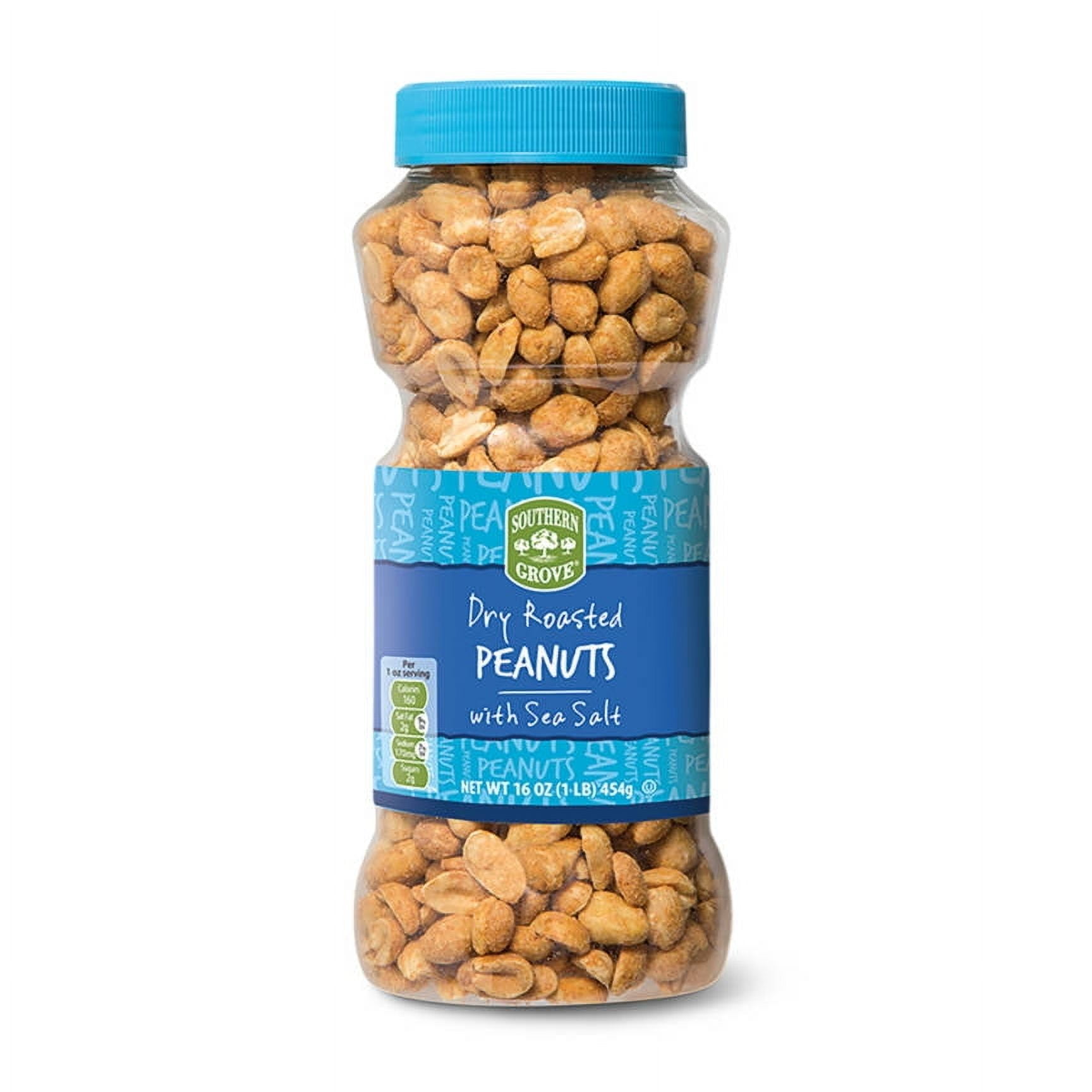 Southern Grove Dry Roasted Peanuts with Sea Salt, 16 oz - Pack of 2 ...