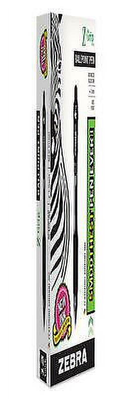 2PK ZEB22210 Z-Grip Ballpoint Pen, Retractable, Medium 1 mm, Black Ink, Clear Barrel, Dozen