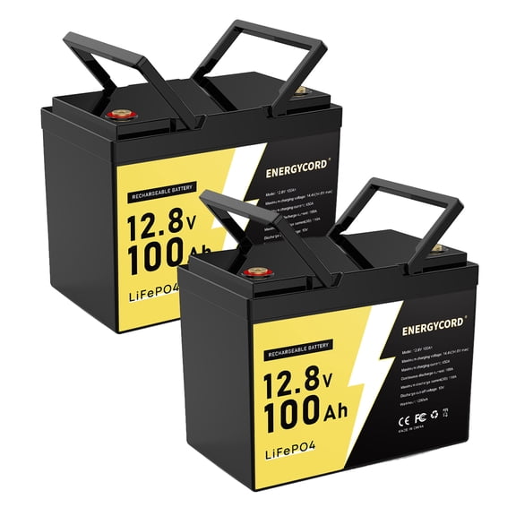 2Pack 12V 100Ah Mini LiFePO4 Lithium Battery,100A BMS 1280Wh BCI Group 24 Lithium Iron Phosphate Battery 6000+ Cycles Perfect for RV, Solar, Home Energy Storage