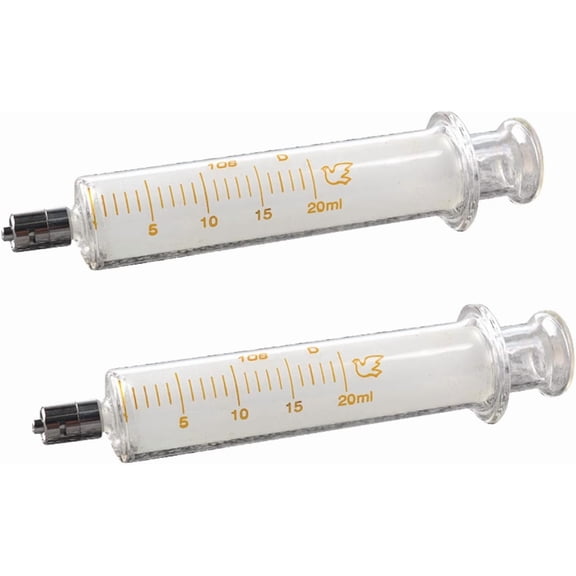 2Pack 20ml/cc Glass Syringe With Metal Head and Caps for Liquid,Small Syringe for Oil or Glue Applicator,No Needle