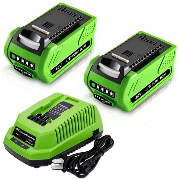 2Pack 6.0Ah 40 Volt Replacement for Greenworks 40v Battery and 29482 Charger Compatible with GreenWorks 40V Li-ion GMAX Power Tools 29472 29252 20202 22262 25312 25322 20642 22272 27062 21242