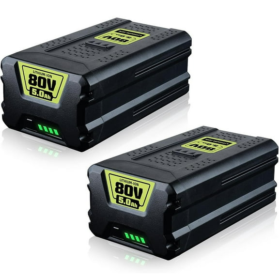 2Pack 80V 5.0Ah Li-ion Battery Compatible with Greenworks 80V Battery GBA80200 GBA80250 GBA80400 GBA80500 for with LED Indicator Light