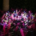 thumbnail image 1 of 2Pack Beautiful 20 LED Fairy Flower Lights, Solar Lights Outdoor Decorative Solar Garden Lights, Solar Powered Outdoor Lights Multi-Color Yard Lights for Walkway Patio Yard Garden Lawn, 1 of 8