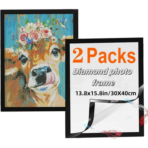 2Pack Black Picture Frame,Fit 13.8x9.8In Diamond Art,Magnetic Poster Frames for Poster,Canvas,Certificate,Document Display